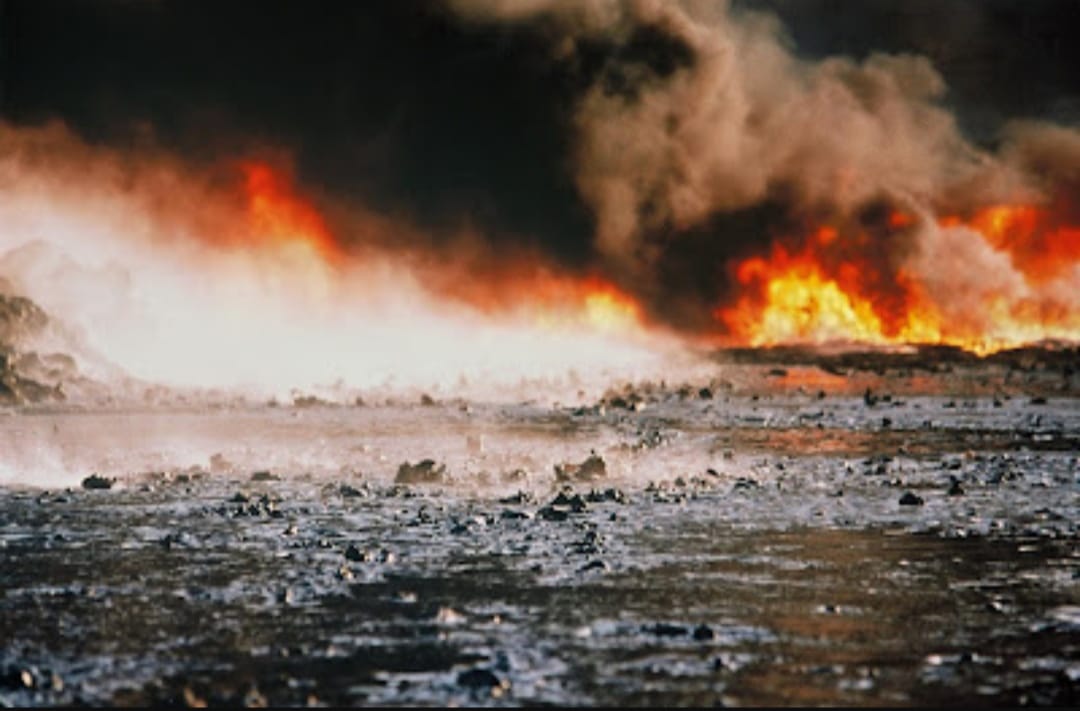 Sonnet 18 New Landscapes