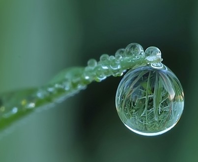 A Simple Drop Of Water