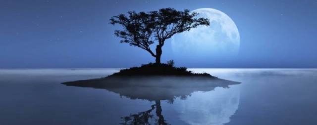 Life Is A Reflection