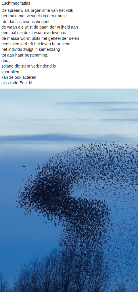 Luchtmeditaties