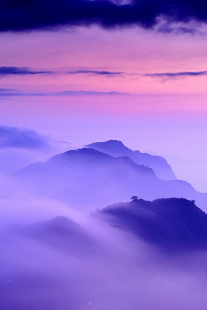 The Purple Mountain