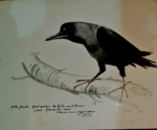 Bird 14 - The Crow Princess - Kaka Tamburatti