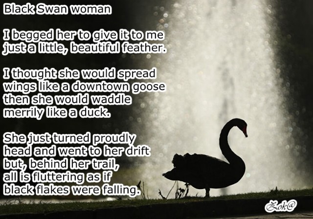 Black Swan Woman ~ Žena Crnog Labuda