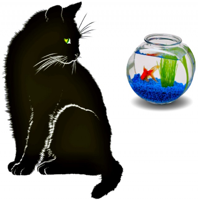 Feline Foibles