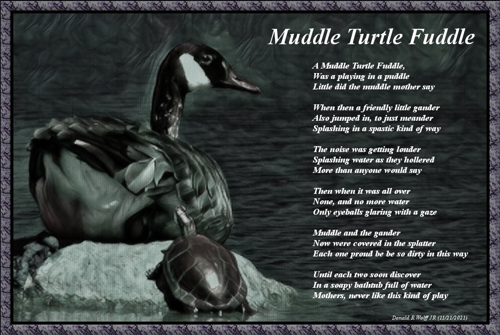 Muddle Turtle Fuddle