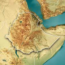 The Misleading Trophy