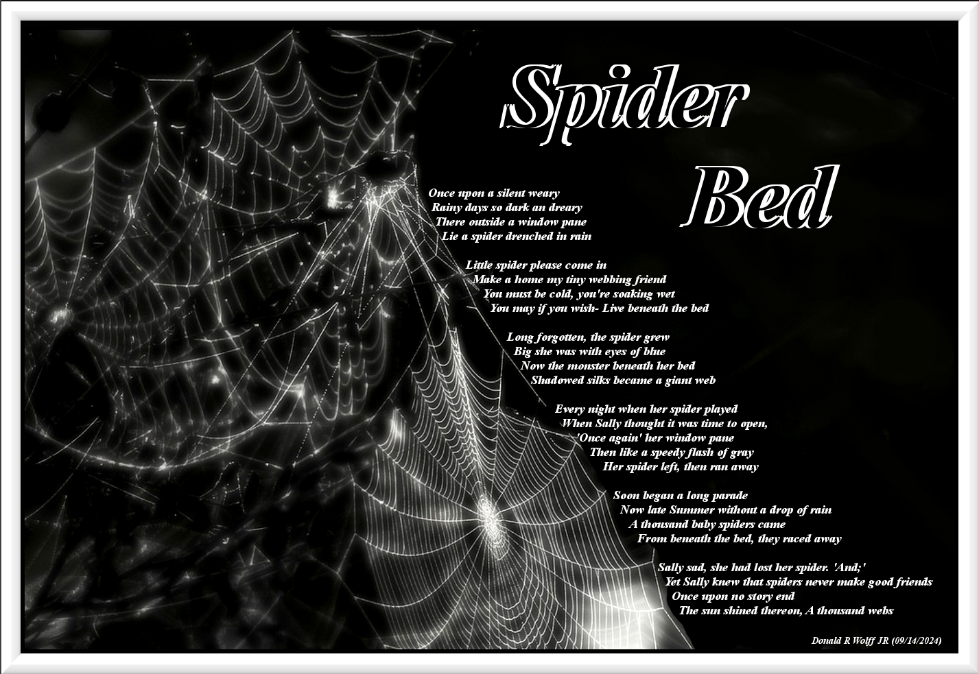 Spider Bed