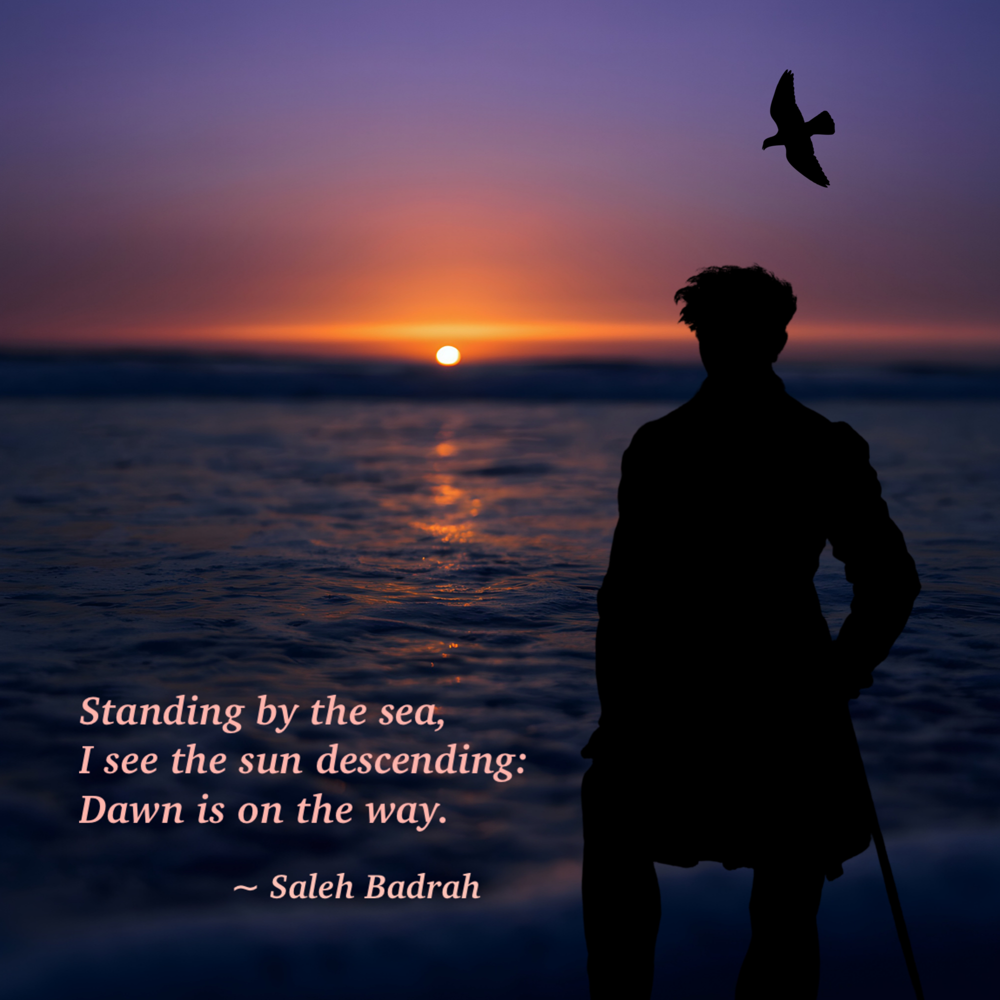 Dawn Is On The Way