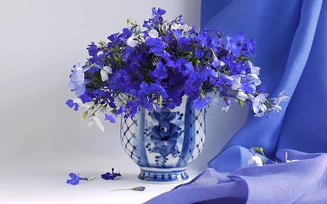 Lovely Flowers Of Blue