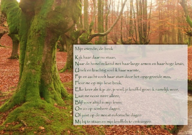 Mijn Vriendin, De Beuk