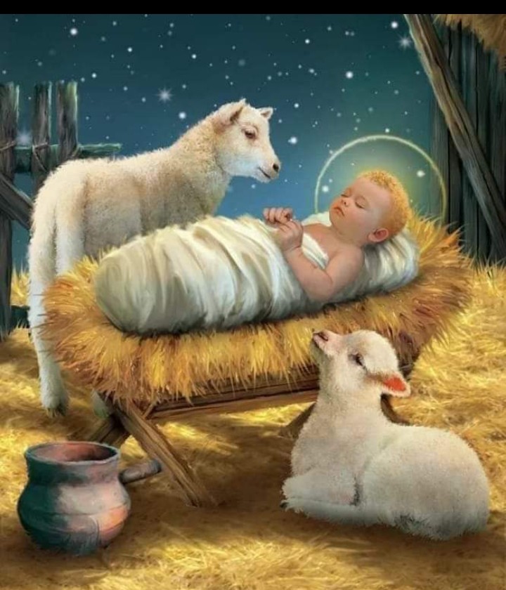 Till They're Born