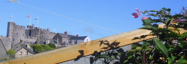 Nations, Wars, Prisons