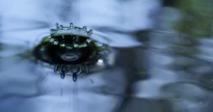 Infinite Consequences