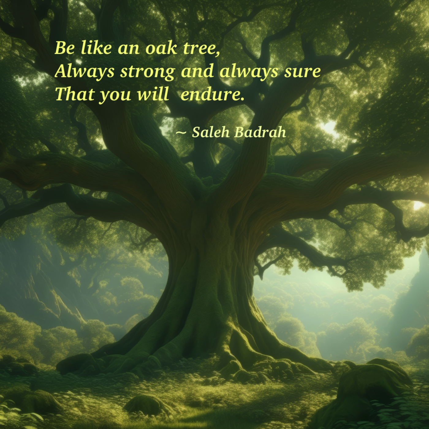 Be Like An Oak Tree