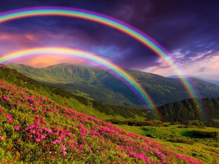 Rainbows Of Life