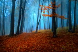 Voices Of Autumn