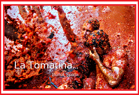 Tomatina / टोमाटीना (Hindi)