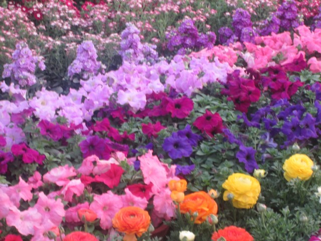 Ek Baar Phir Muskurao