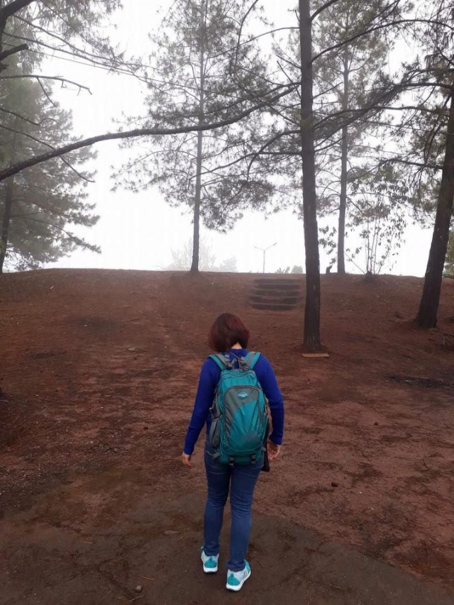 Odds In The Realm Of Love