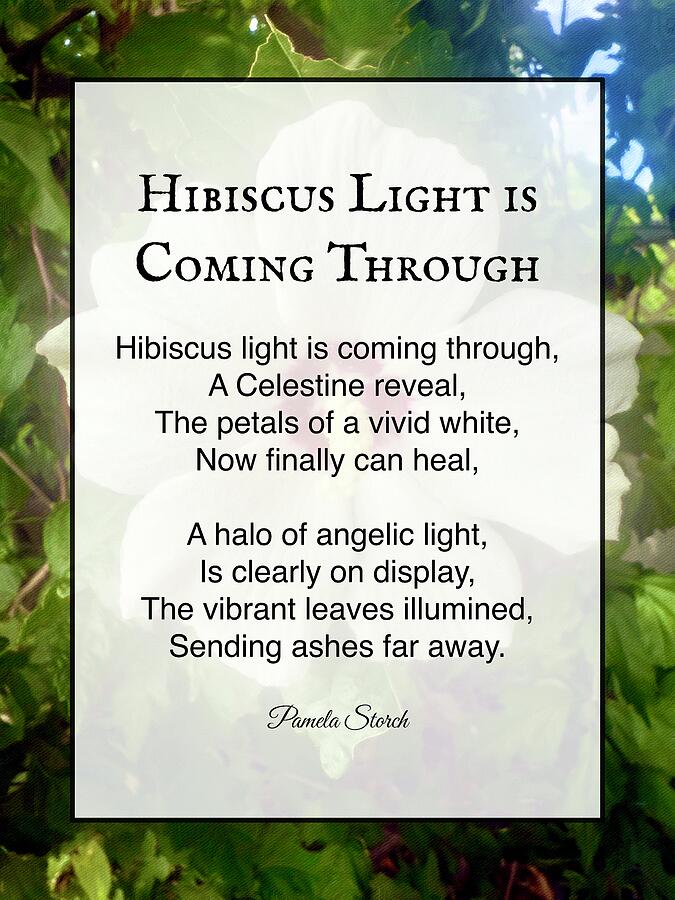 Hibiscus Light Is Coming Through