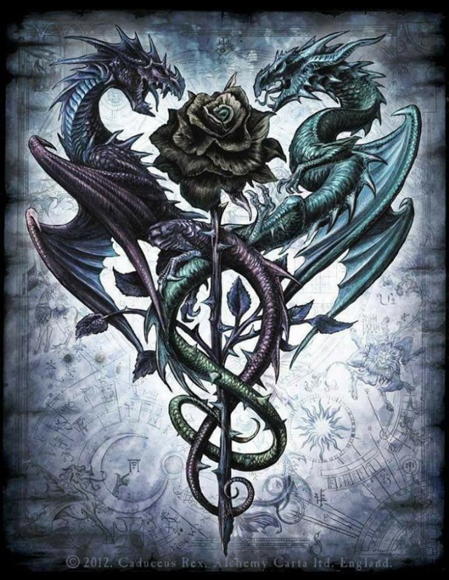 The Dragon Of The Black Rose...