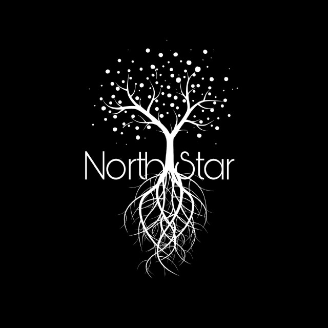 North Star (2017)