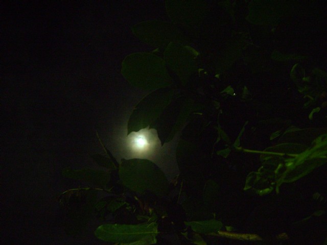 Splendour Of Full Moon