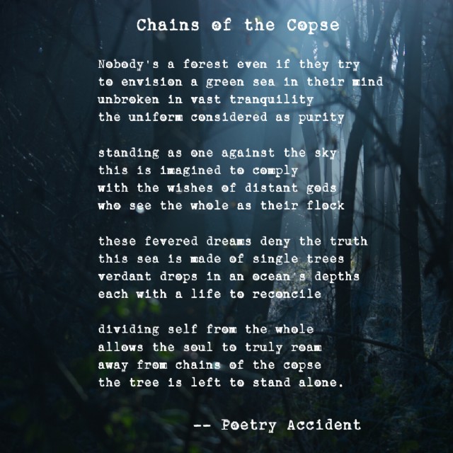 Chains Of The Copse
