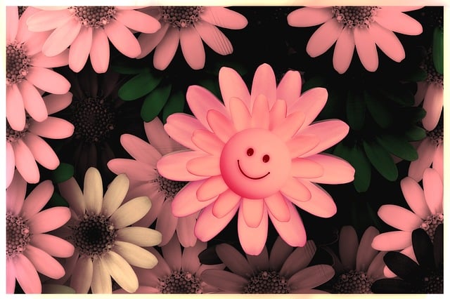 Smiles I Remember
