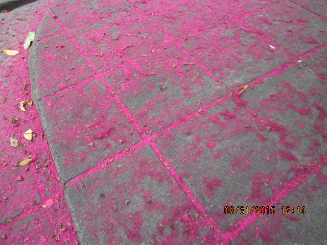 Pink Carpet