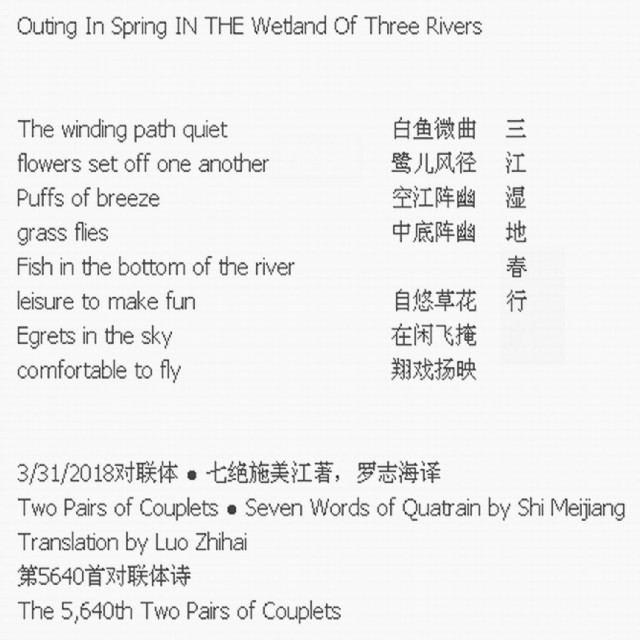 Outing In Spring In The Wetland Of Three Rivers
