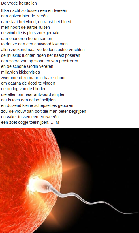 De Vrede Herstellen