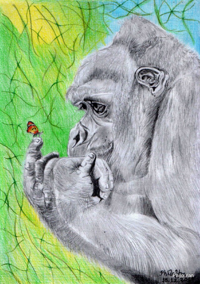 Gorilla Ponders
