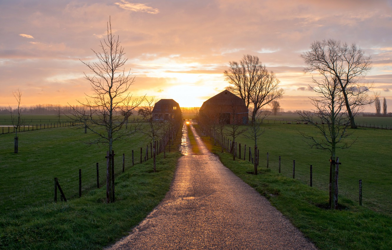 Let There Be Dawn