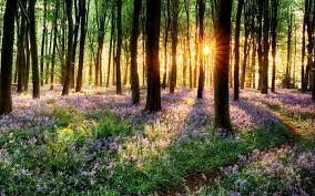 Spring
