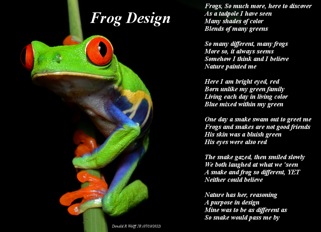 Frog Design