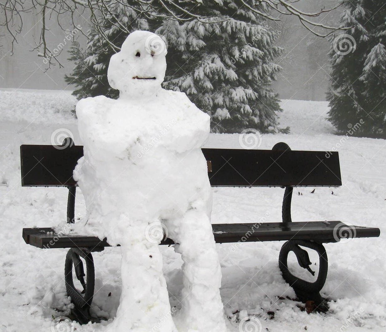 A Frosty Friend
(Sean The Snowman)