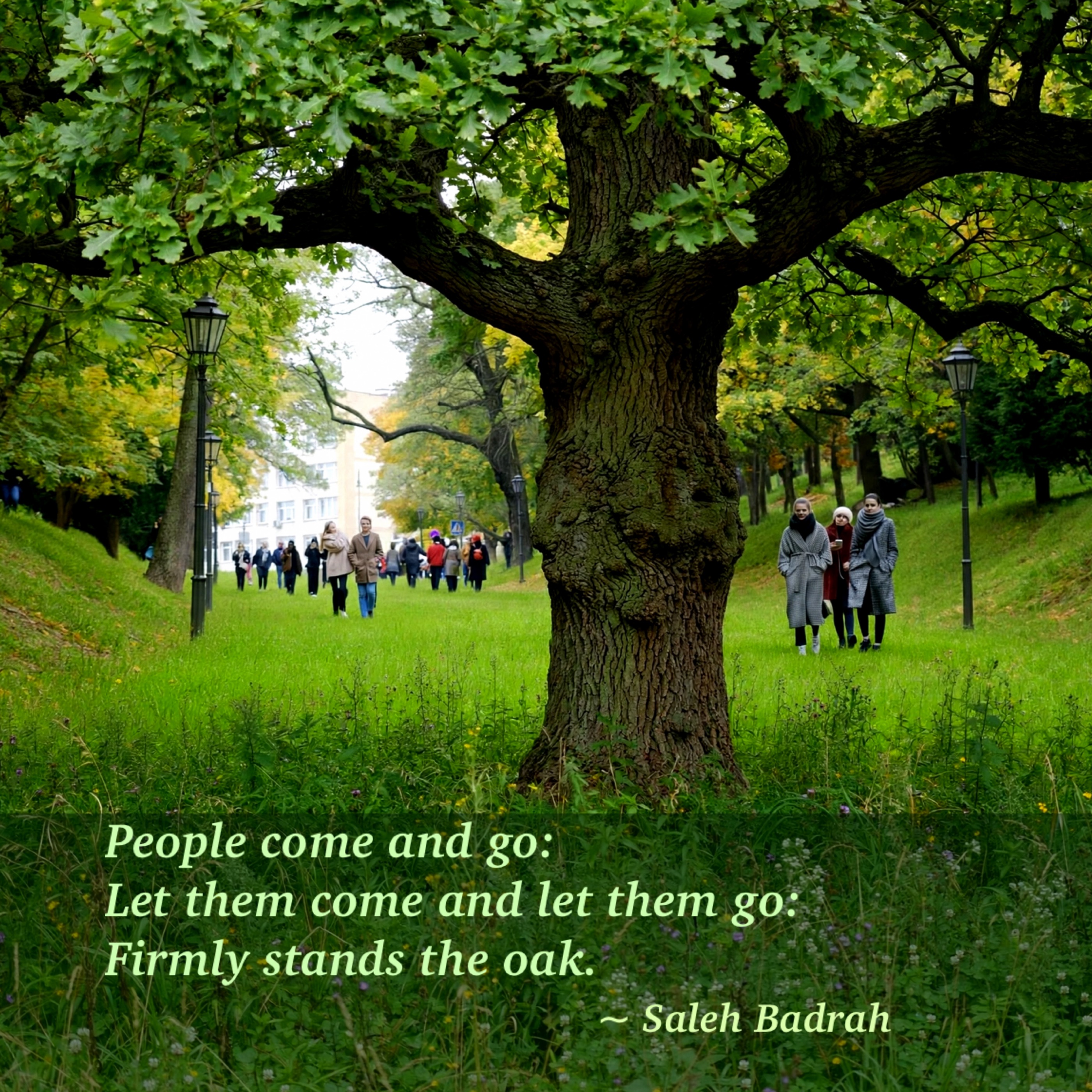 Firmly Stands The Oak