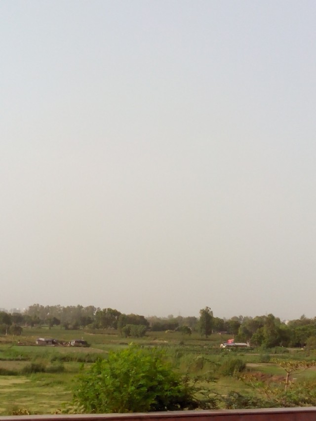 पागलपन