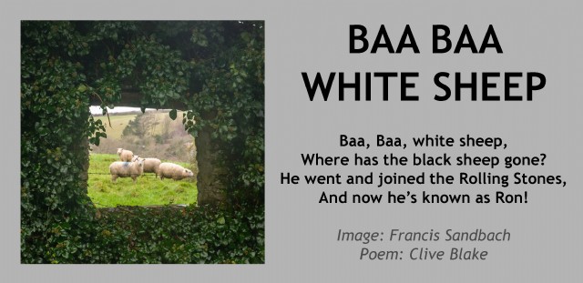 Baa Baa White Sheep