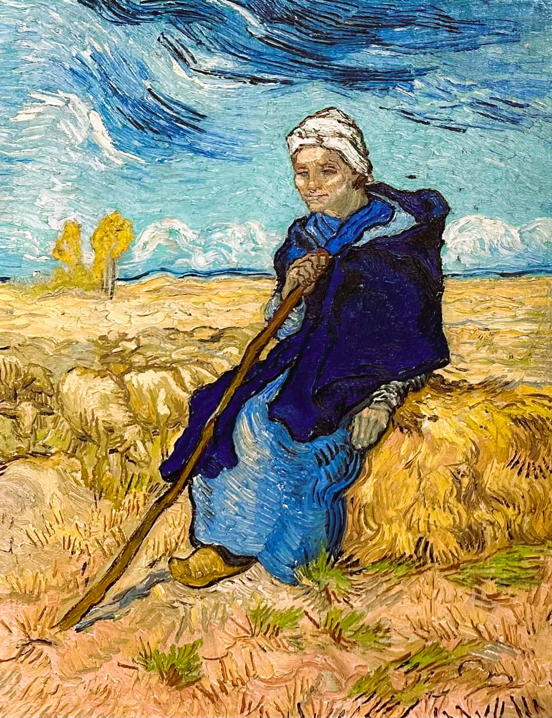 Vincent Van Gogh 78  -  Penniless & Starved