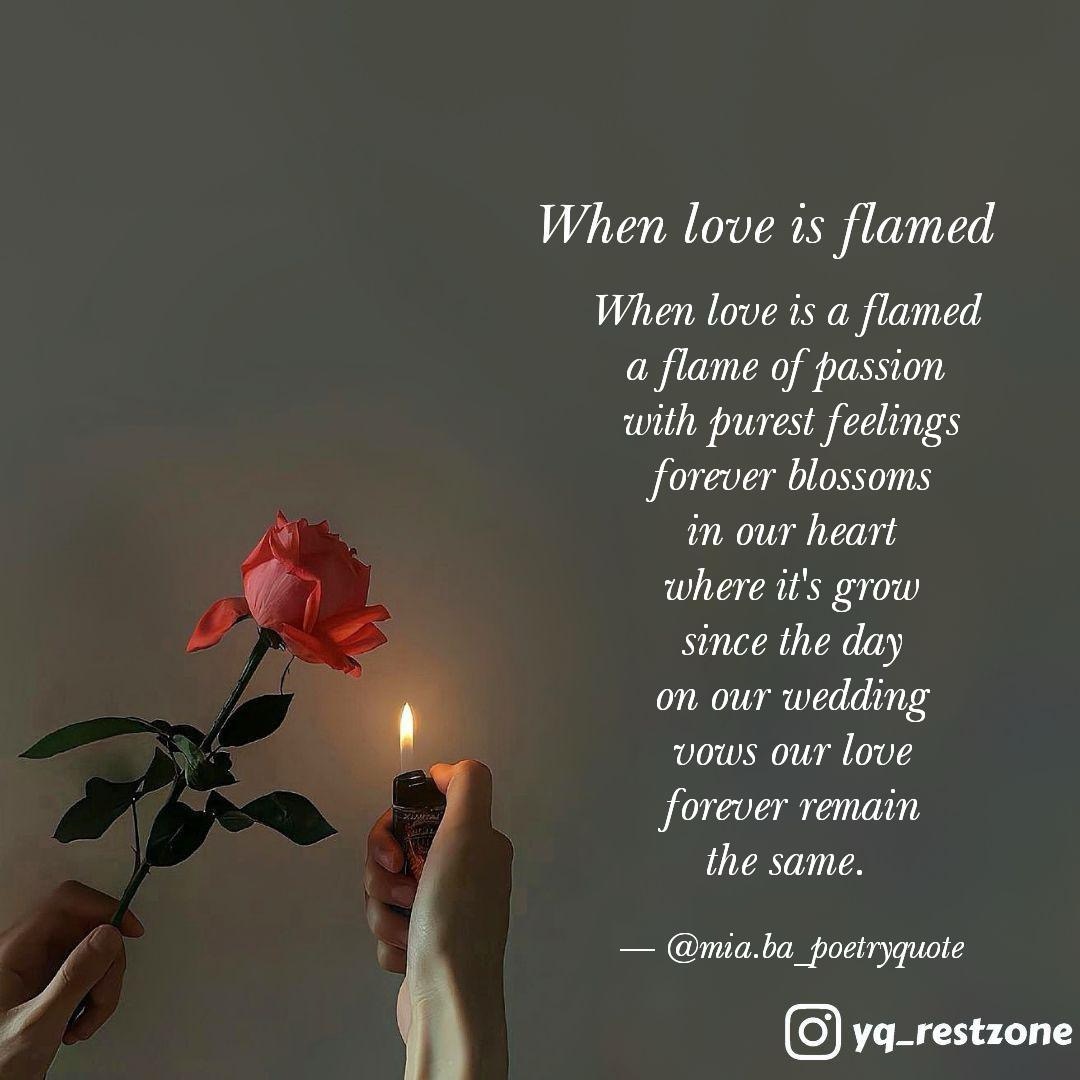 When Love Is A Flamed