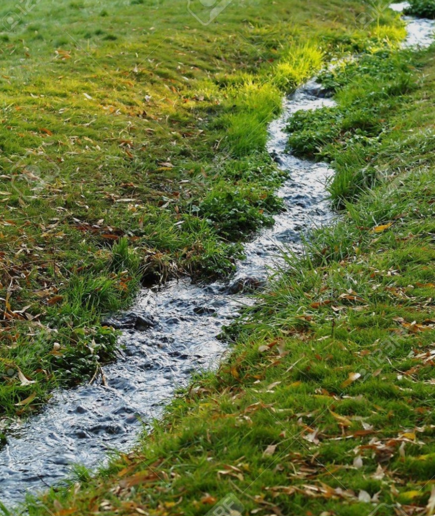 A Little Streams Journey