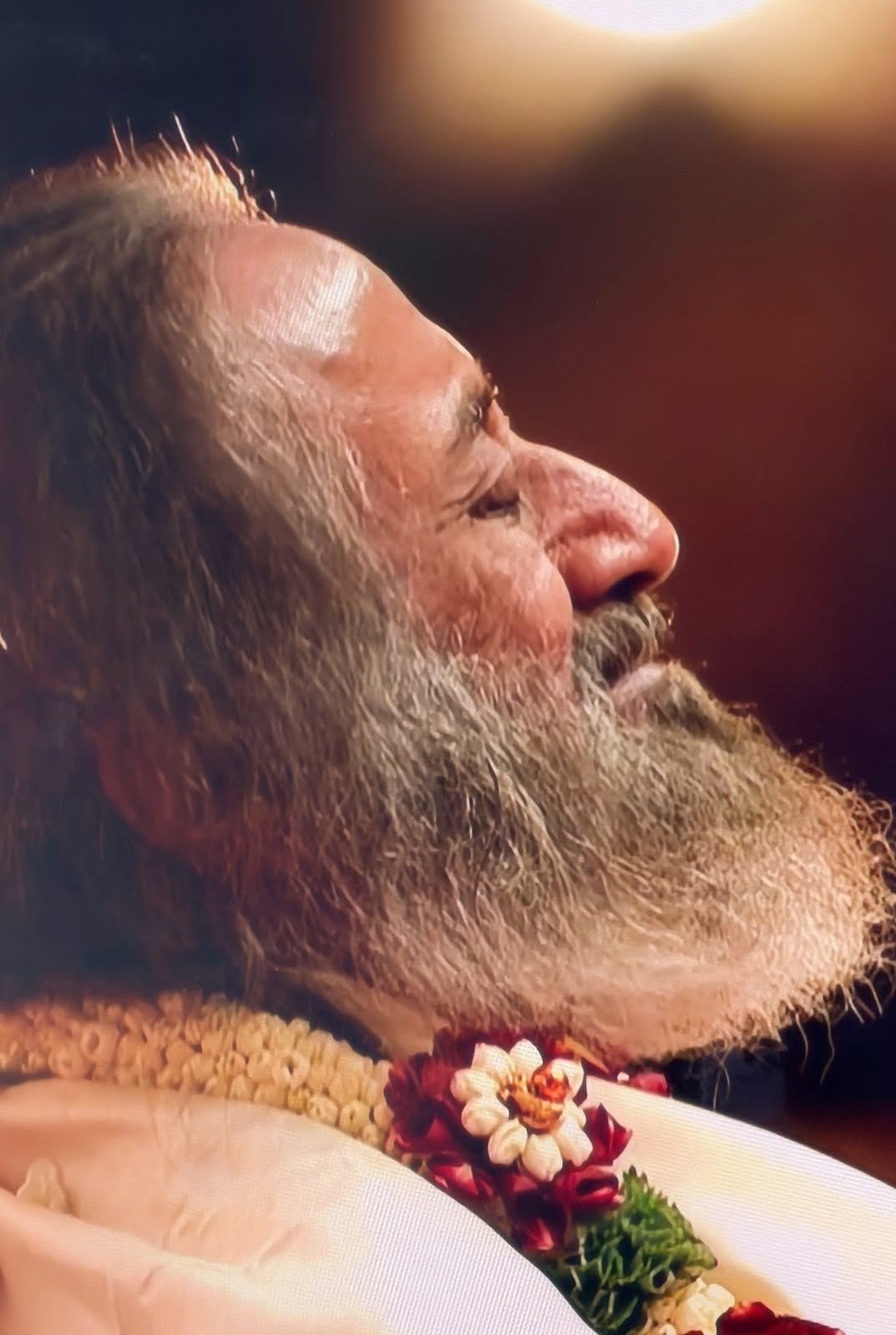 ‎the Eternal Tree Of Being