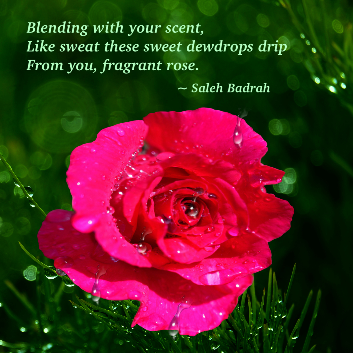 Blending With Your Scent