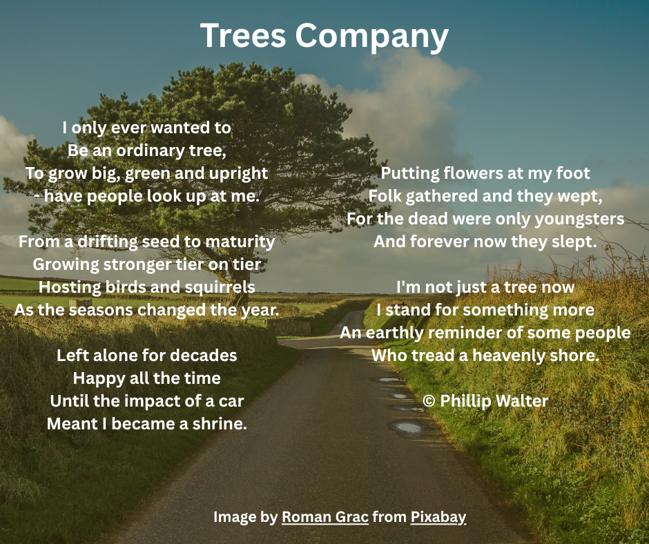 Trees Company