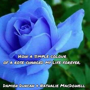How The Colour Of A Rose Changed My Life Forever...