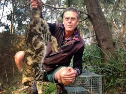 Government Plans Australian Cat Massacre