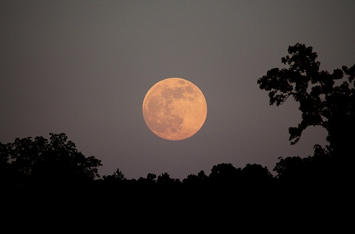 The Magic Of A Full Moon Night