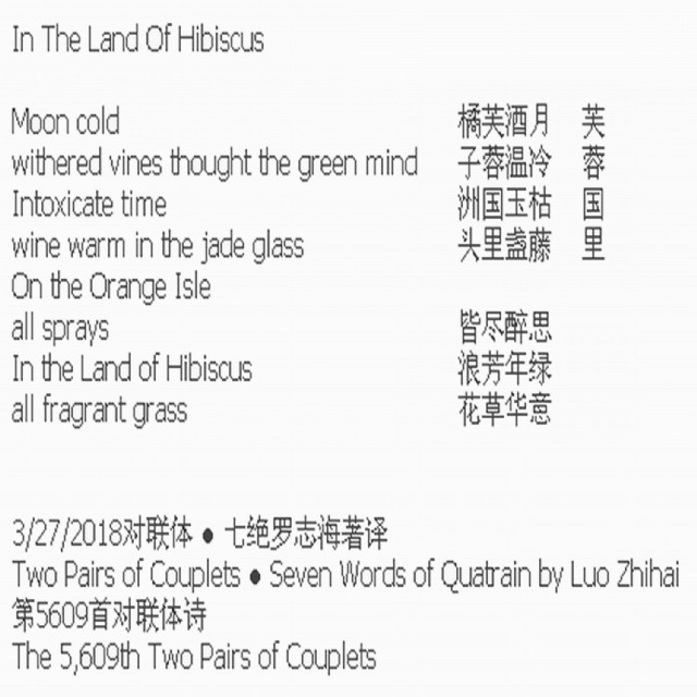 In The Land Of Hibiscus